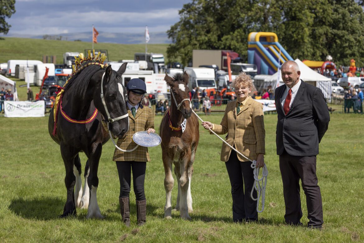 Mare with foal at foot at Skelton Show Photographer Paul Martin